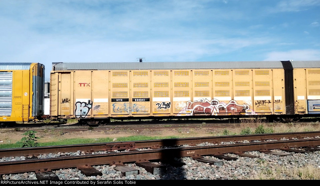 BTTX 880245 "B" Con Grafiti 